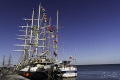 The Tall Ships Race