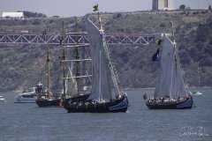The Tall Ships Race - A Despedida