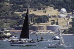 The Tall Ships Race - A Despedida