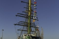 The Tall Ships Race