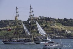 The Tall Ships Race - A Despedida