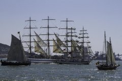 The Tall Ships Race - A Despedida