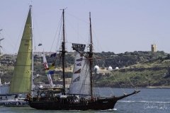 The Tall Ships Race - A Despedida