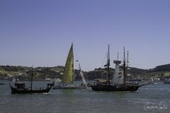 The Tall Ships Race - A Despedida