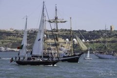 The Tall Ships Race - A Despedida