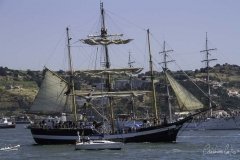 The Tall Ships Race - A Despedida