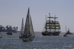 The Tall Ships Race - A Despedida