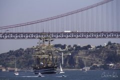The Tall Ships Race - A Despedida