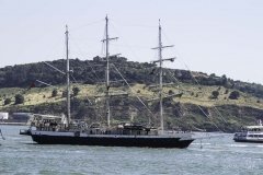 The Tall Ships Race - A Despedida