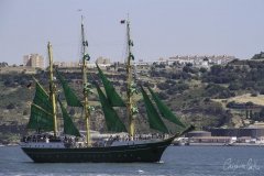 The Tall Ships Race - A Despedida