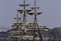 The Tall Ships Race - A Despedida