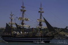 The Tall Ships Race - A Despedida