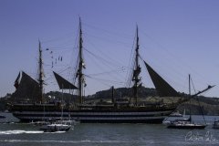 The Tall Ships Race - A Despedida