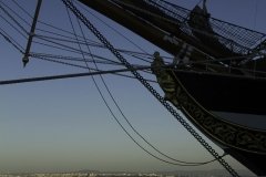 The Tall Ships Race