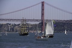 The Tall Ships Race - A Despedida