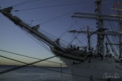 The Tall Ships Race