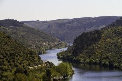 Belver - Rio Tejo