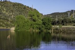 Belver - Barragem de Belver