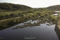 Belver - Barragem de Belver