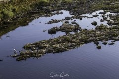 Belver - Barragem de Belver