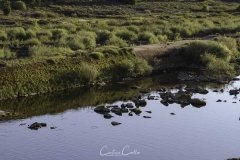 Belver - Barragem de Belver