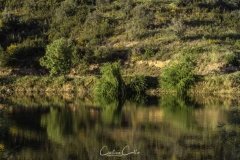 Belver - Barragem de Belver