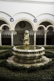 Cascais - Museu Conde Castro Guimarães