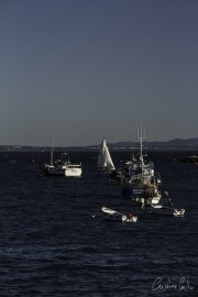 Cascais