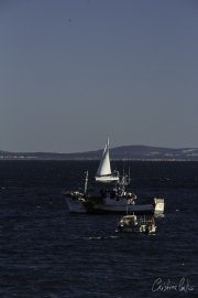 Cascais