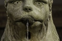 Cascais - Museu Conde Castro Guimarães