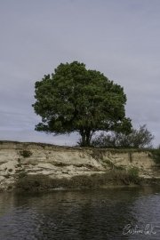 Escaroupim