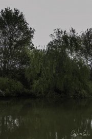 Escaroupim