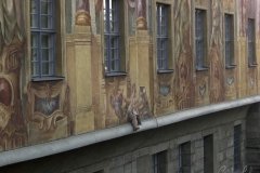 Bamberg