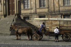 Bamberg